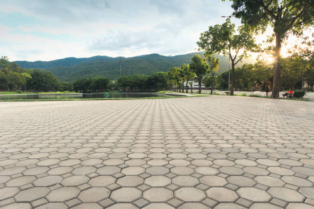 Best Residential Driveway Paver Services  in Delavan, IL